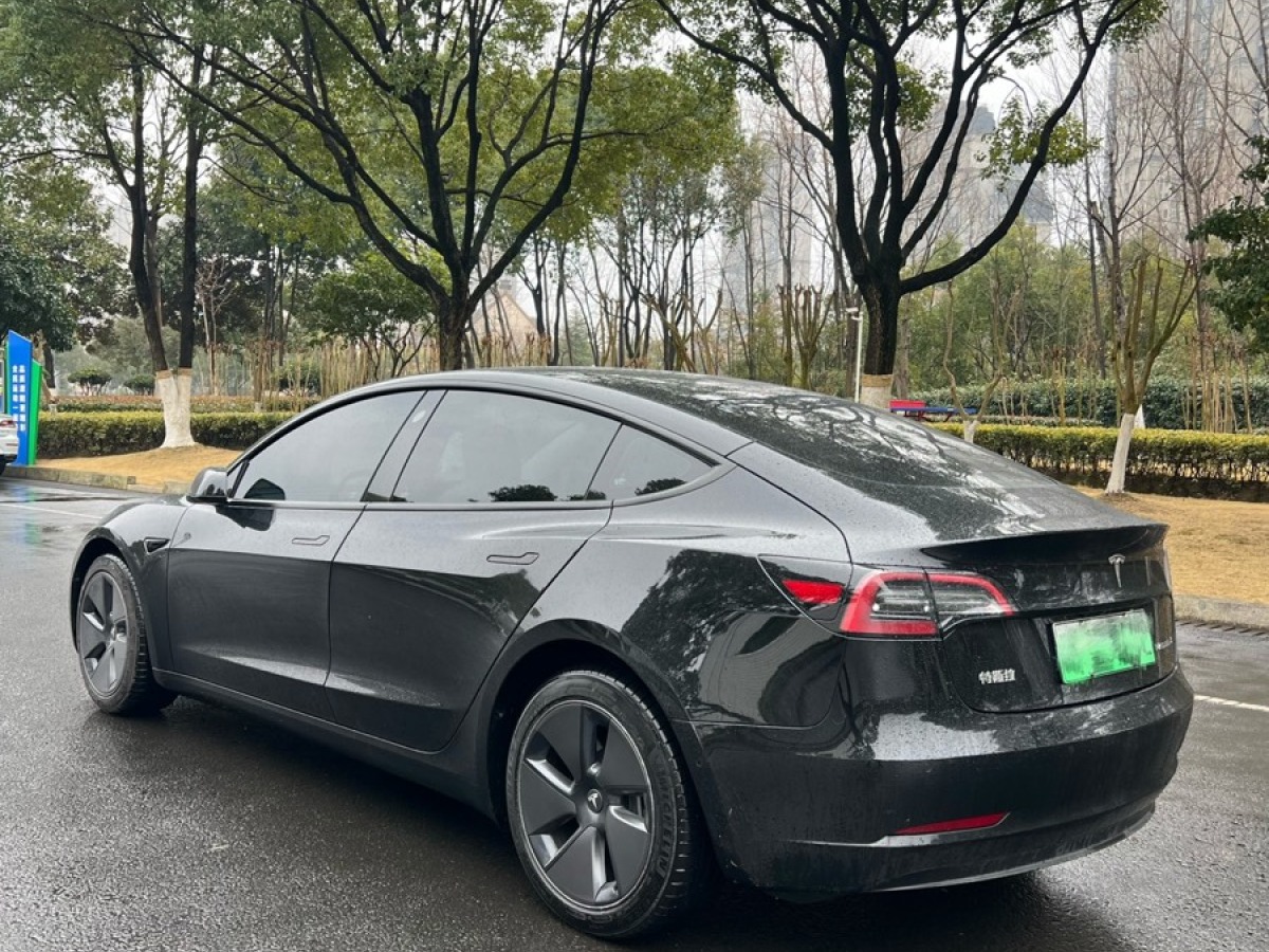 特斯拉 Model 3  2022款 后輪驅(qū)動(dòng)版圖片