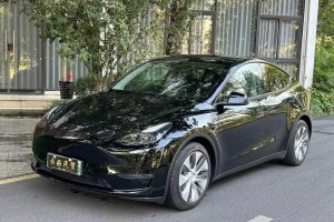 Model Y 特斯拉 標(biāo)準(zhǔn)續(xù)航后驅(qū)版