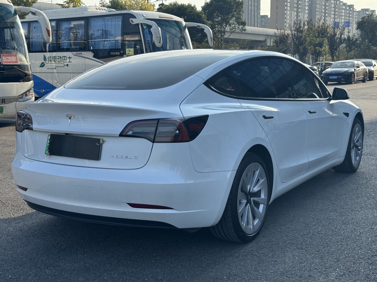 特斯拉 Model Y  2021款 標(biāo)準(zhǔn)續(xù)航后驅(qū)升級(jí)版 3D6圖片