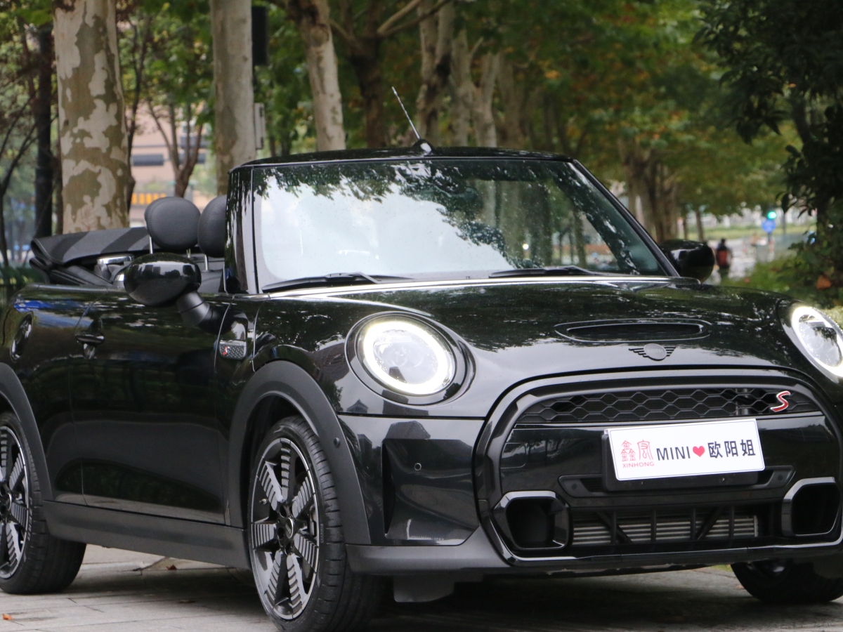 MINI MINI  2023款 改款 2.0T COOPER S CABRIO 艺术家图片