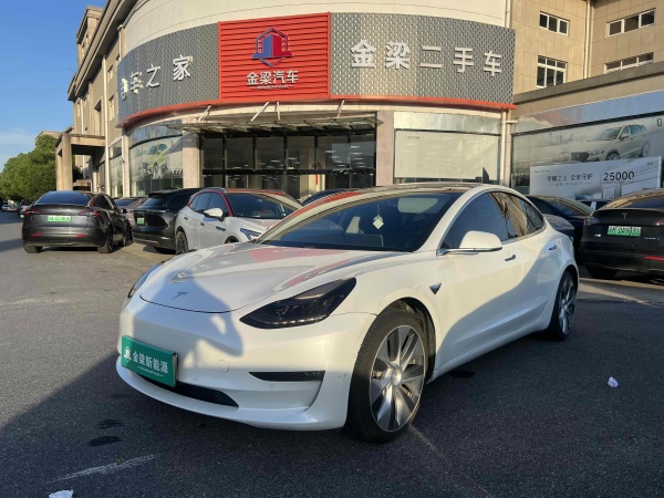 特斯拉 Model 3  2019款 长续航全轮驱动版