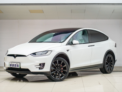 2019年6月 特斯拉 Model X 長續(xù)航版圖片