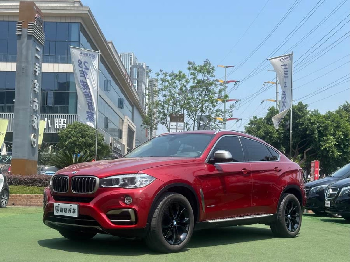 寶馬 寶馬X6  2017款 xDrive35i 領(lǐng)先型圖片