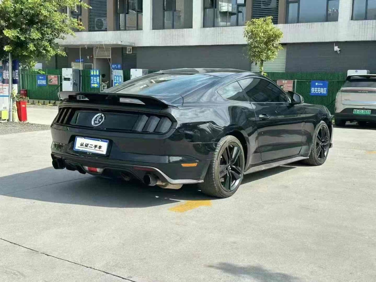 福特 Mustang  2015款 2.3T 性能版圖片