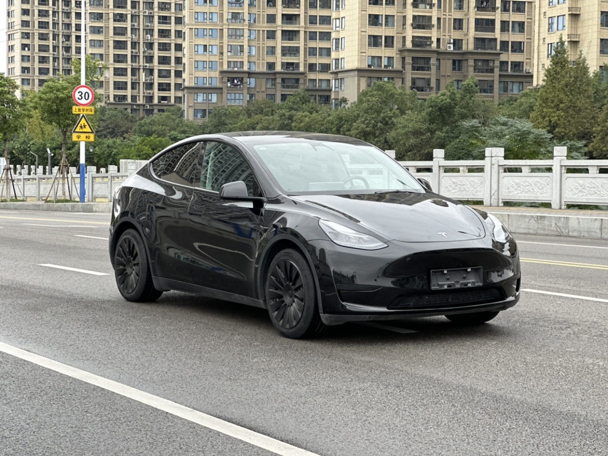 特斯拉 Model Y  2021款 標(biāo)準(zhǔn)續(xù)航后驅(qū)升級版 3D6圖片