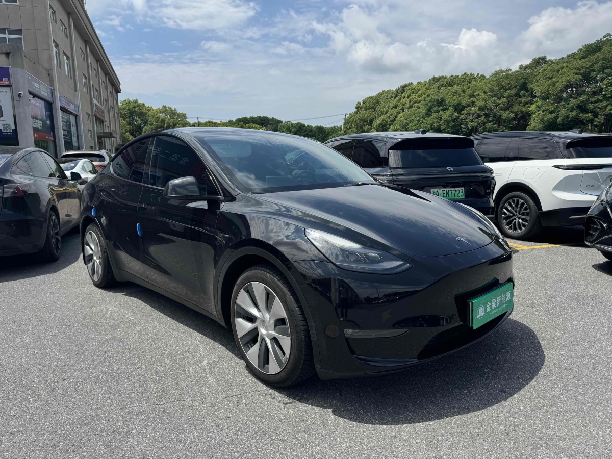 特斯拉 Model Y  2021款 標(biāo)準(zhǔn)續(xù)航后驅(qū)版圖片