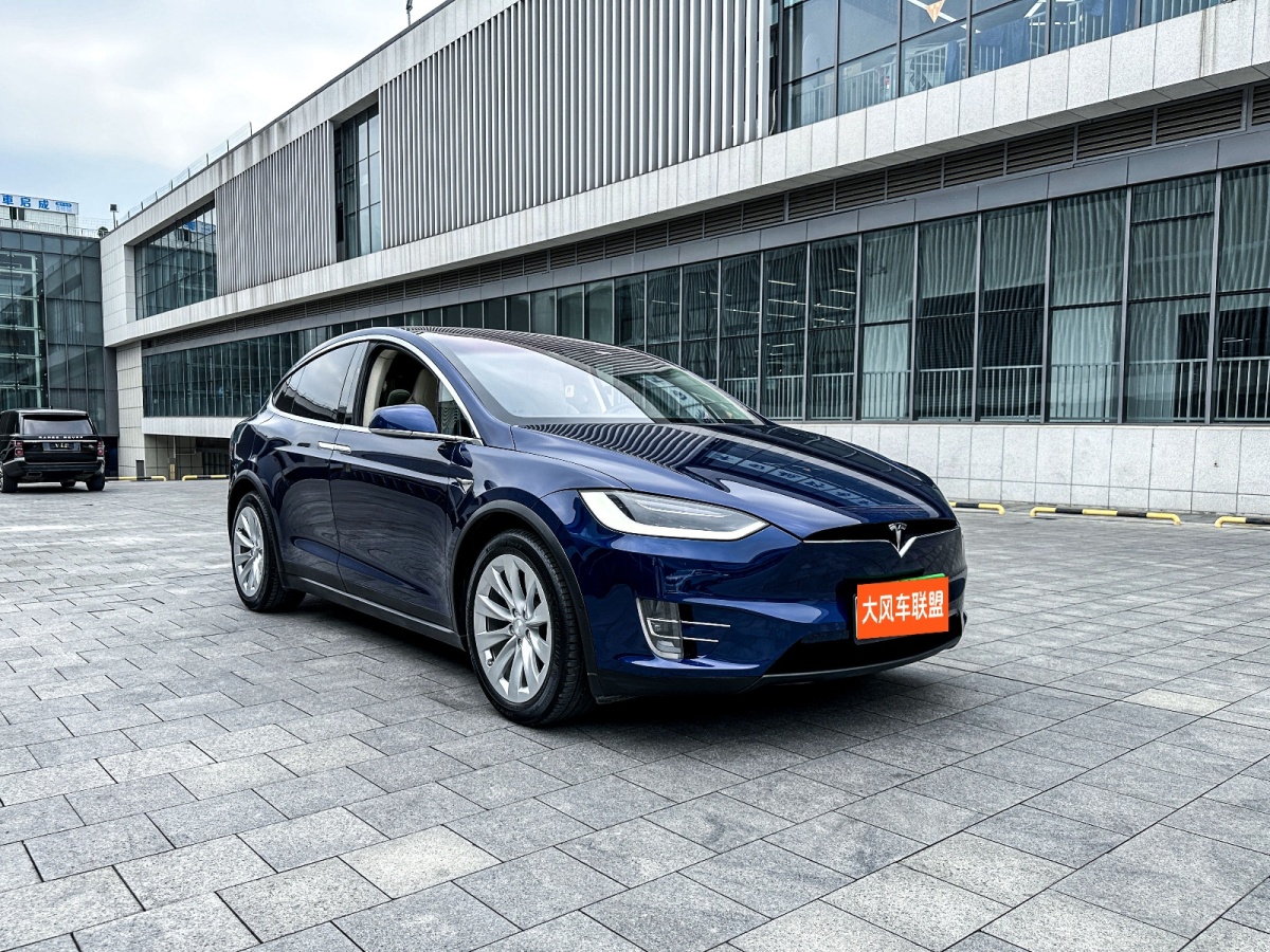 特斯拉 Model X  2017款 Model X 100D 長續(xù)航版圖片