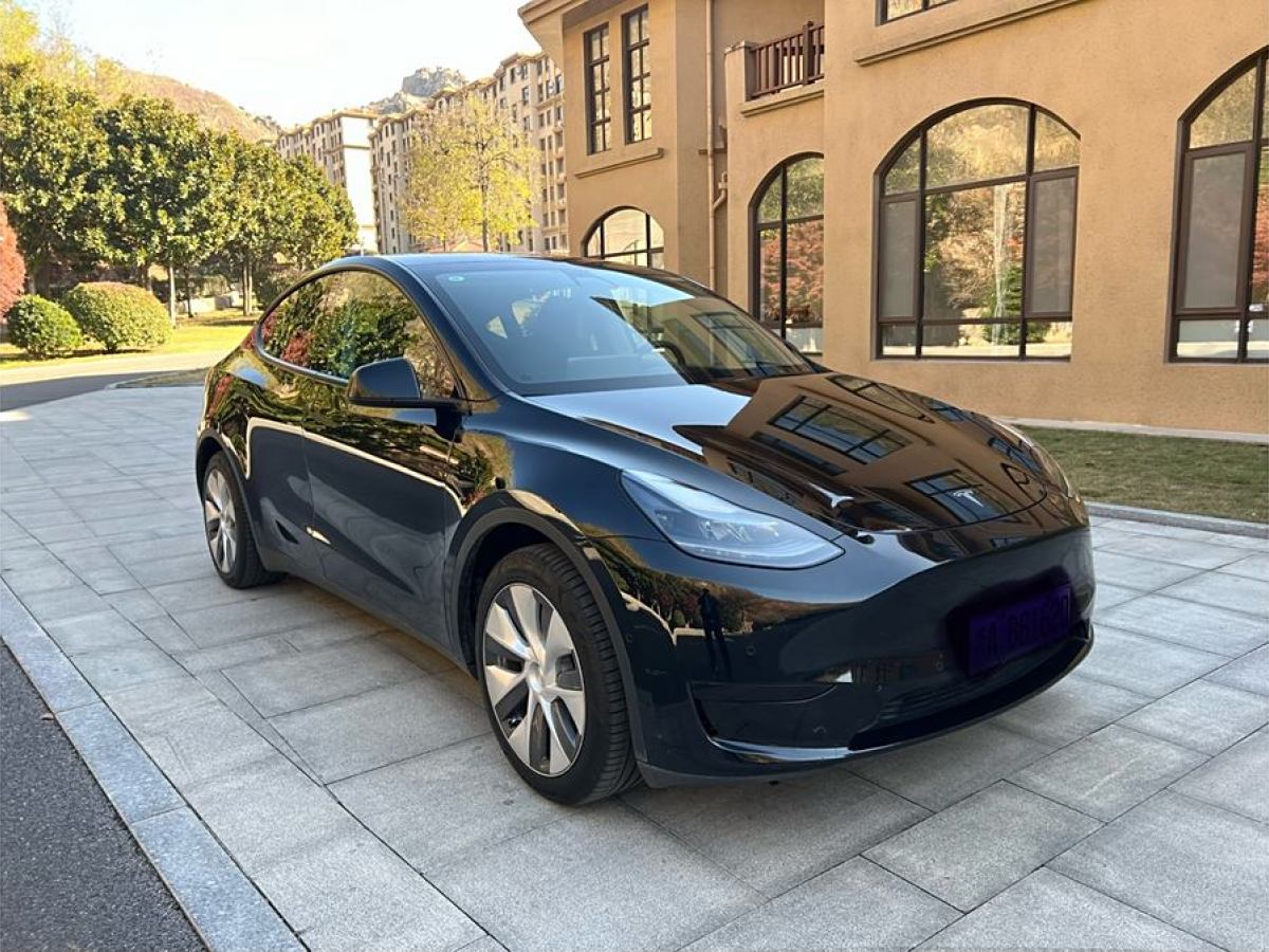 特斯拉 Model 3  2020款 改款 長(zhǎng)續(xù)航后輪驅(qū)動(dòng)版圖片