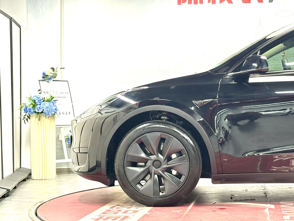 特斯拉 Model 3  2023款 煥新版 后輪驅(qū)動圖片