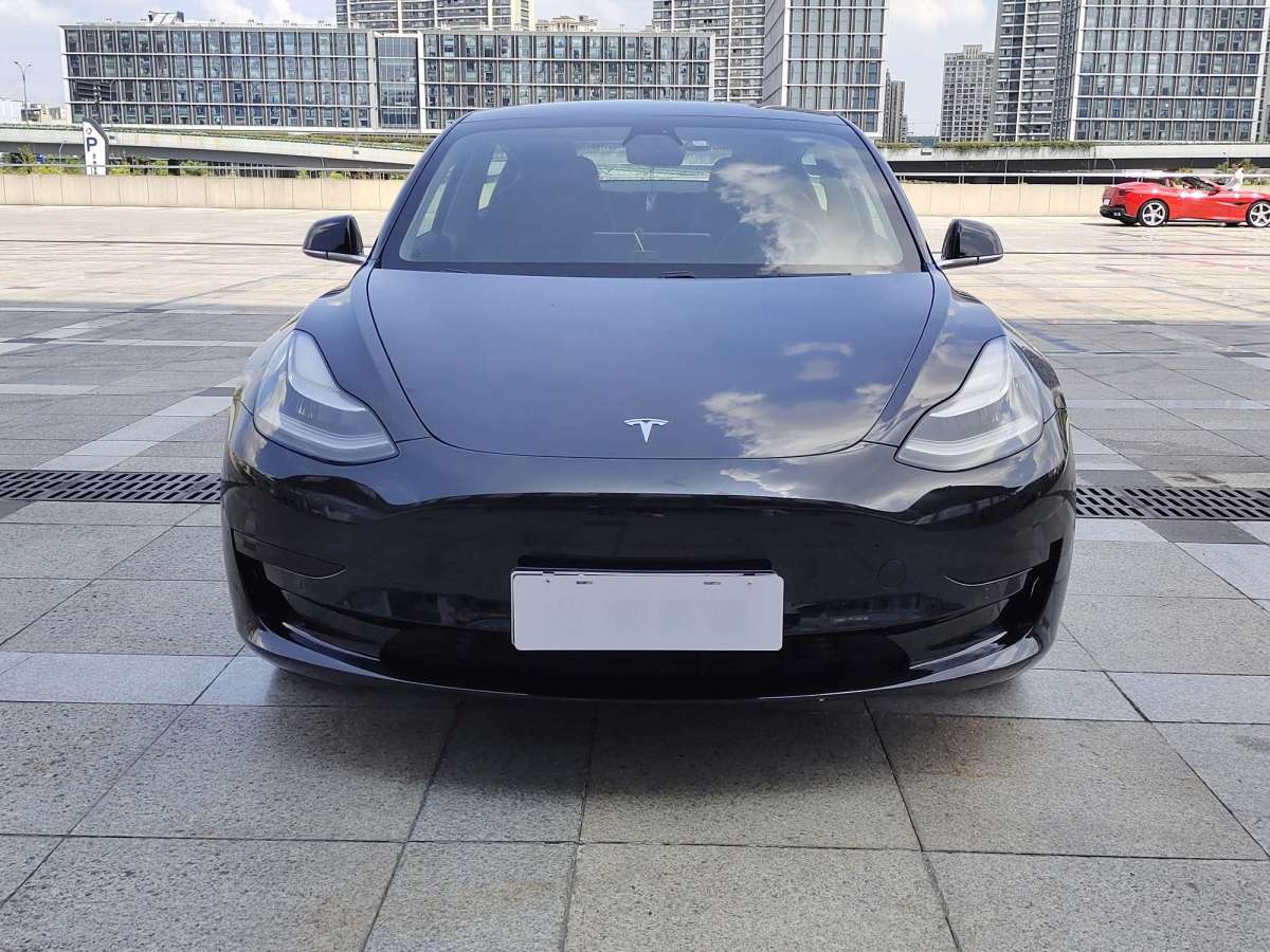 特斯拉 Model 3  2019款 標(biāo)準(zhǔn)續(xù)航后驅(qū)升級版圖片