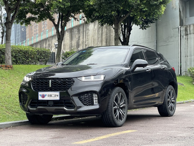 2019年4月 WEY VV7 升级款 2.0T 旗舰型图片