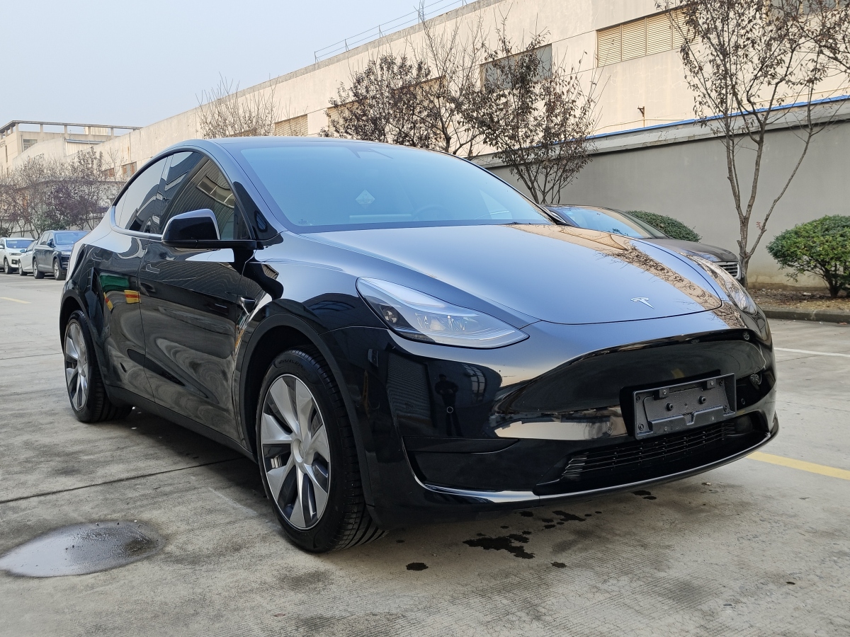 特斯拉 Model 3  2020款 改款 長續(xù)航后輪驅(qū)動版圖片