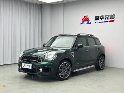 2019年2月 MINI COUNTRYMAN 2.0T COOPER S ALL4 藝術(shù)家圖片