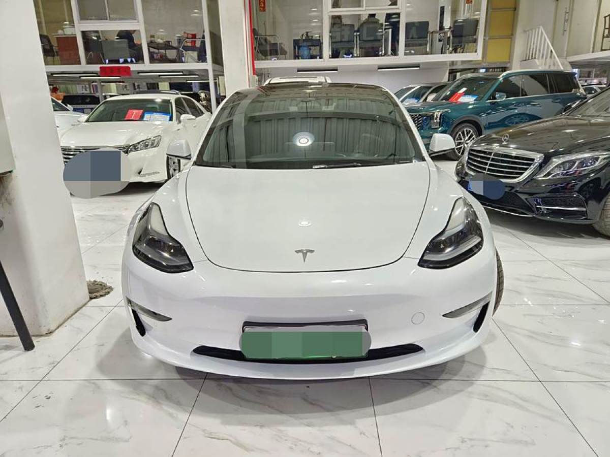 特斯拉 Model 3  2021款 改款 標(biāo)準(zhǔn)續(xù)航后驅(qū)升級(jí)版圖片