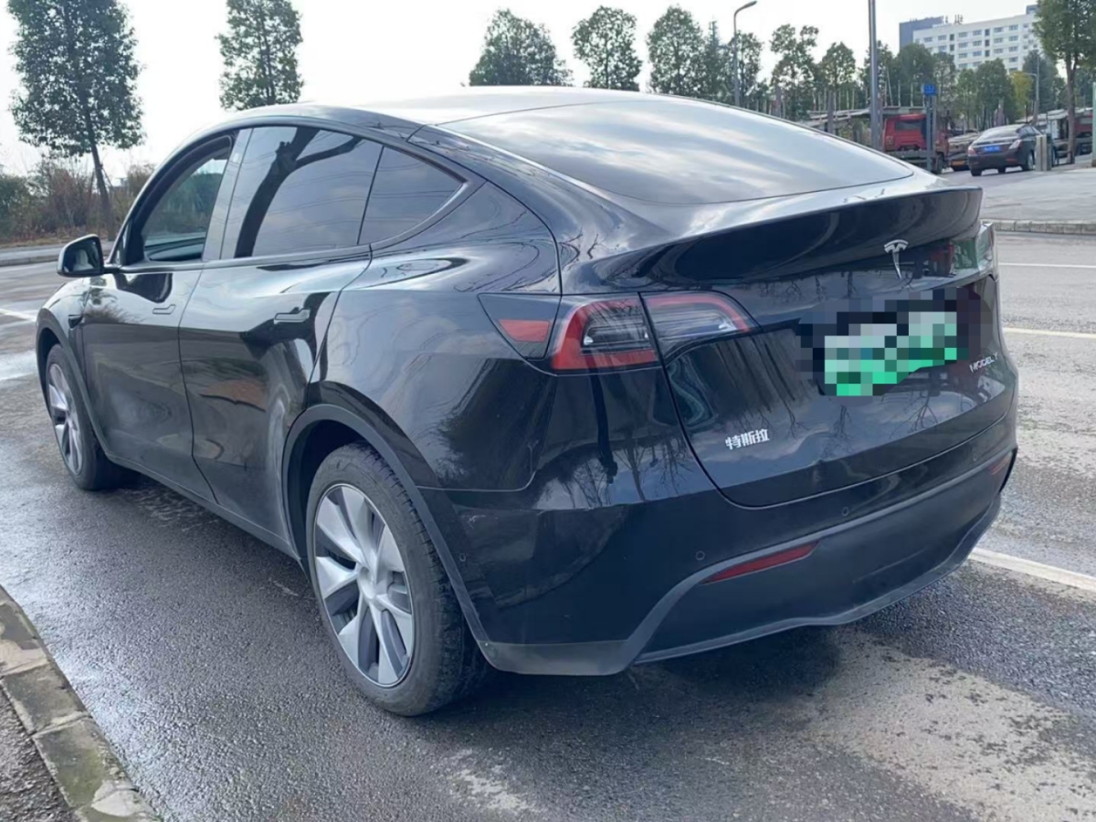 特斯拉 Model 3  2020款 改款 長(zhǎng)續(xù)航后輪驅(qū)動(dòng)版圖片