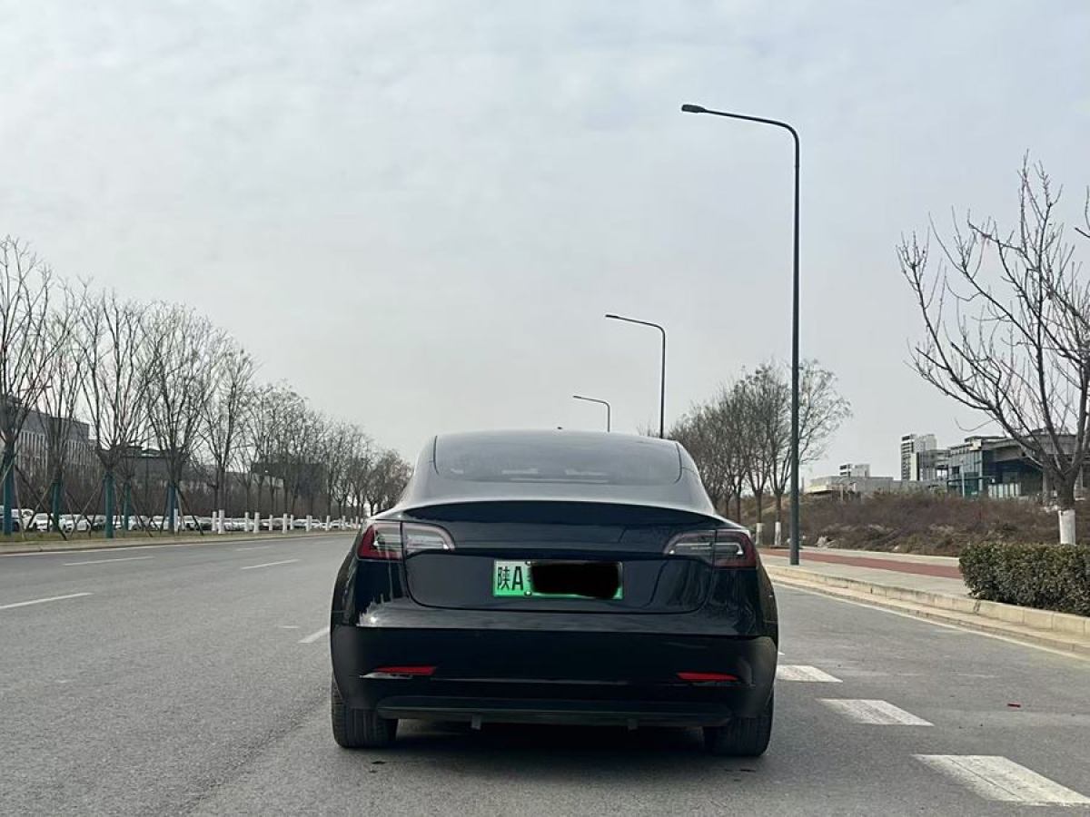 特斯拉 Model 3  2020款 改款 標(biāo)準(zhǔn)續(xù)航后驅(qū)升級(jí)版圖片