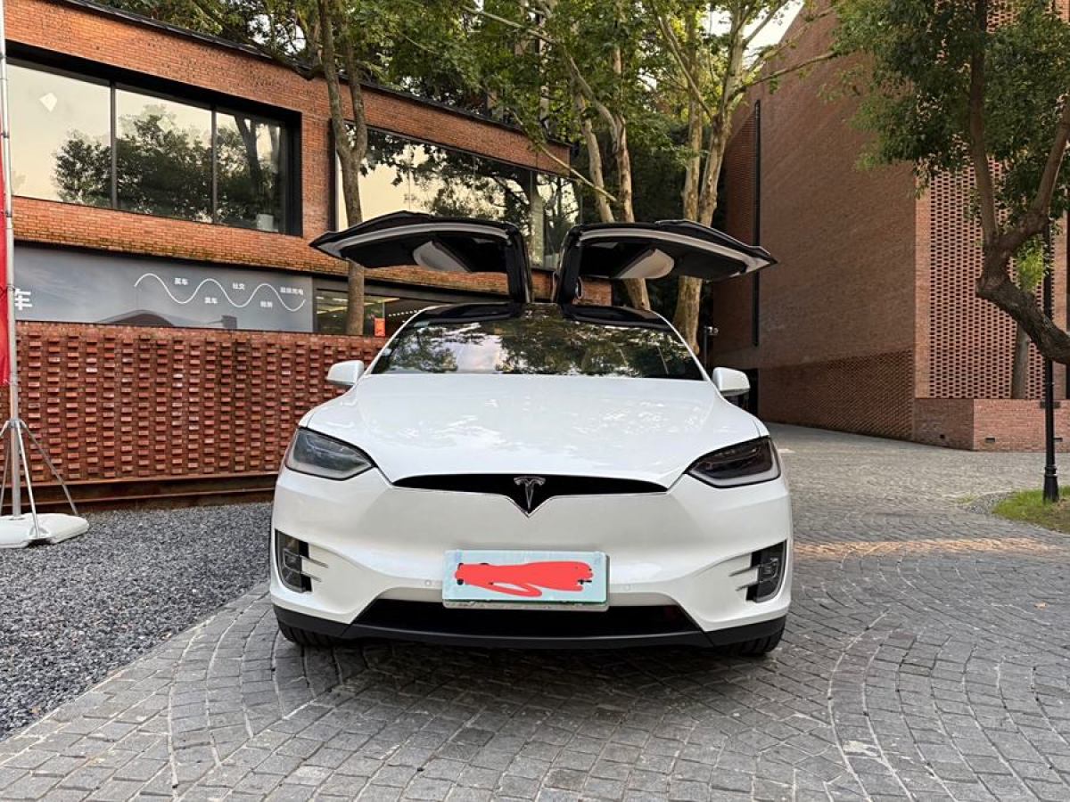 2019年7月特斯拉 Model X  2016款 Model X P100D Performance高性能版