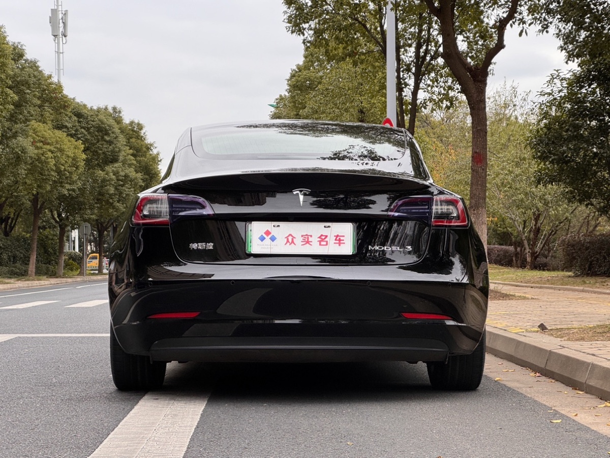 特斯拉 Model 3  2019款 標(biāo)準(zhǔn)續(xù)航后驅(qū)升級(jí)版圖片