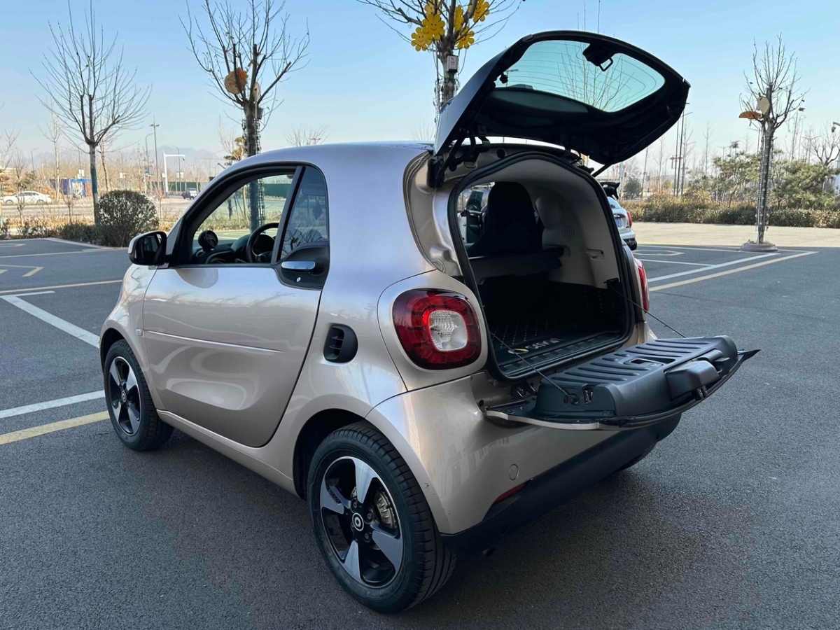 smart fortwo  2018款 1.0L 52千瓦耀金特別版圖片