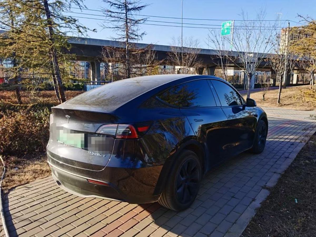 特斯拉 Model 3  2020款 改款 長續(xù)航后輪驅動版圖片