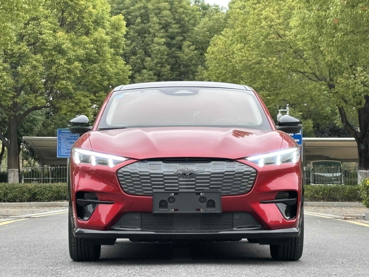 福特 Mustang Mach-E  2021款 長續(xù)航后驅版圖片