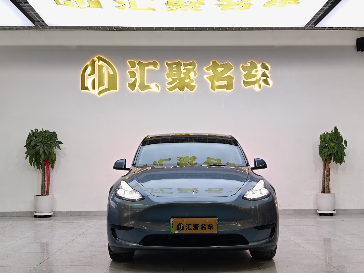 特斯拉 Model 3  2020款 改款 長續(xù)航后輪驅(qū)動版圖片