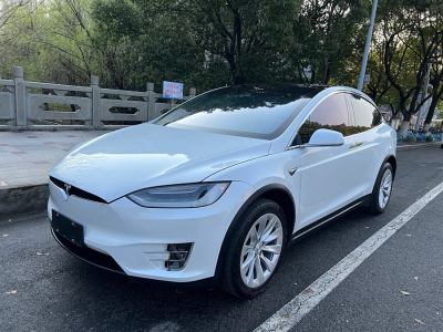 2019年11月 特斯拉 Model X Model X 100D 長續(xù)航版圖片