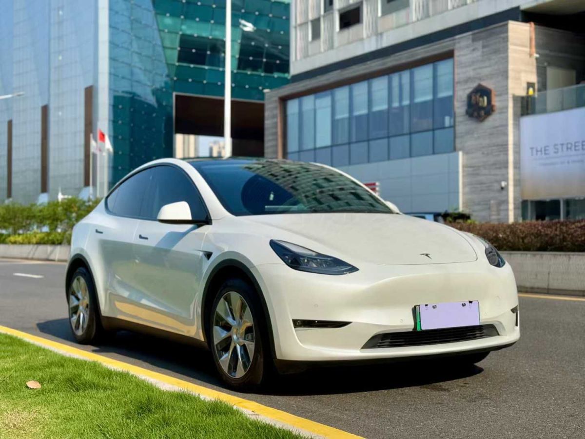 特斯拉 Model S  2021款 Performance 高性能版圖片