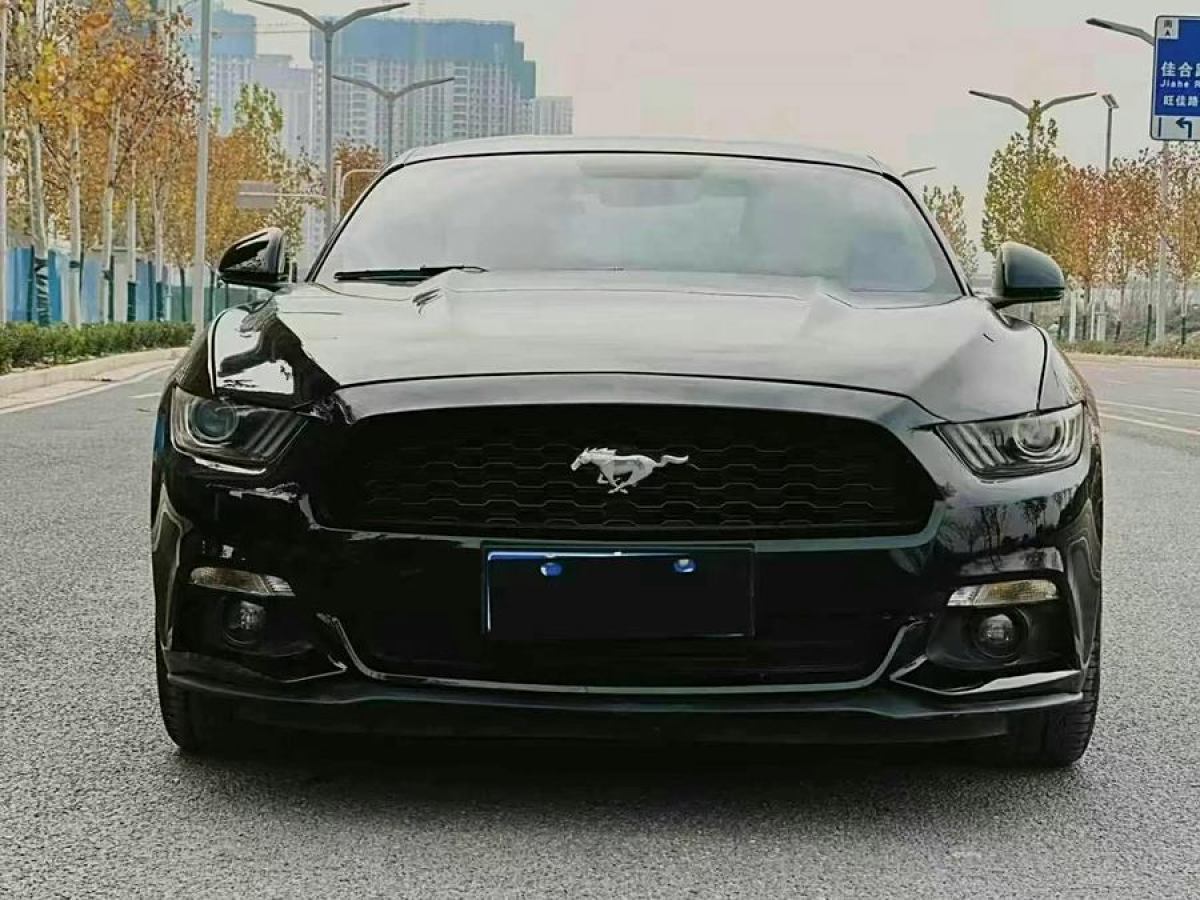 福特 Mustang  2015款 2.3T 性能版圖片