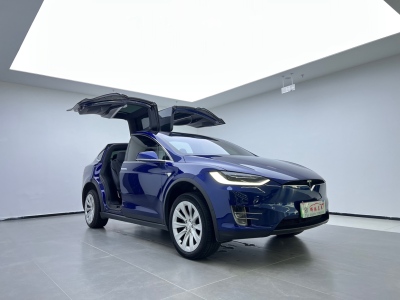 2019年4月  特斯拉 Model X 2017款 75D 圖片