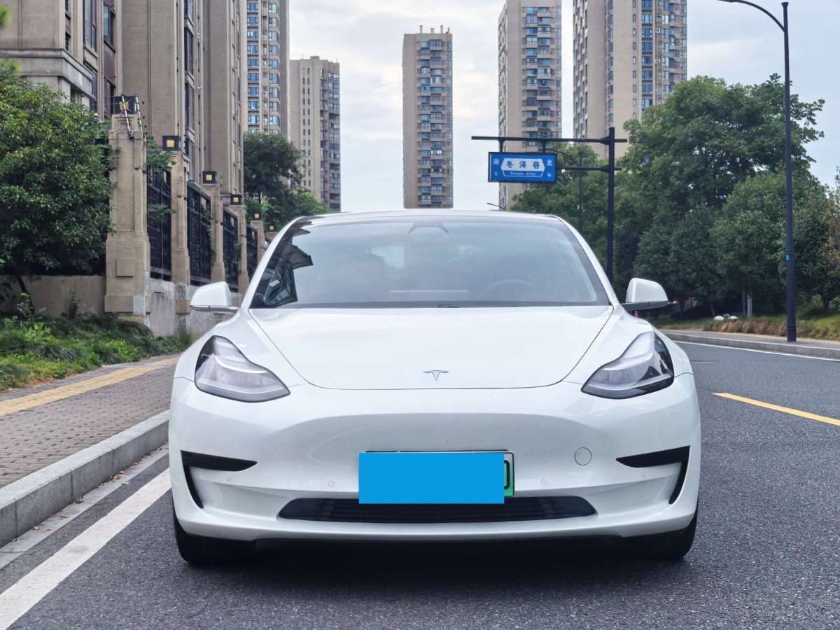 特斯拉 Model 3  2019款 標(biāo)準(zhǔn)續(xù)航后驅(qū)升級(jí)版圖片