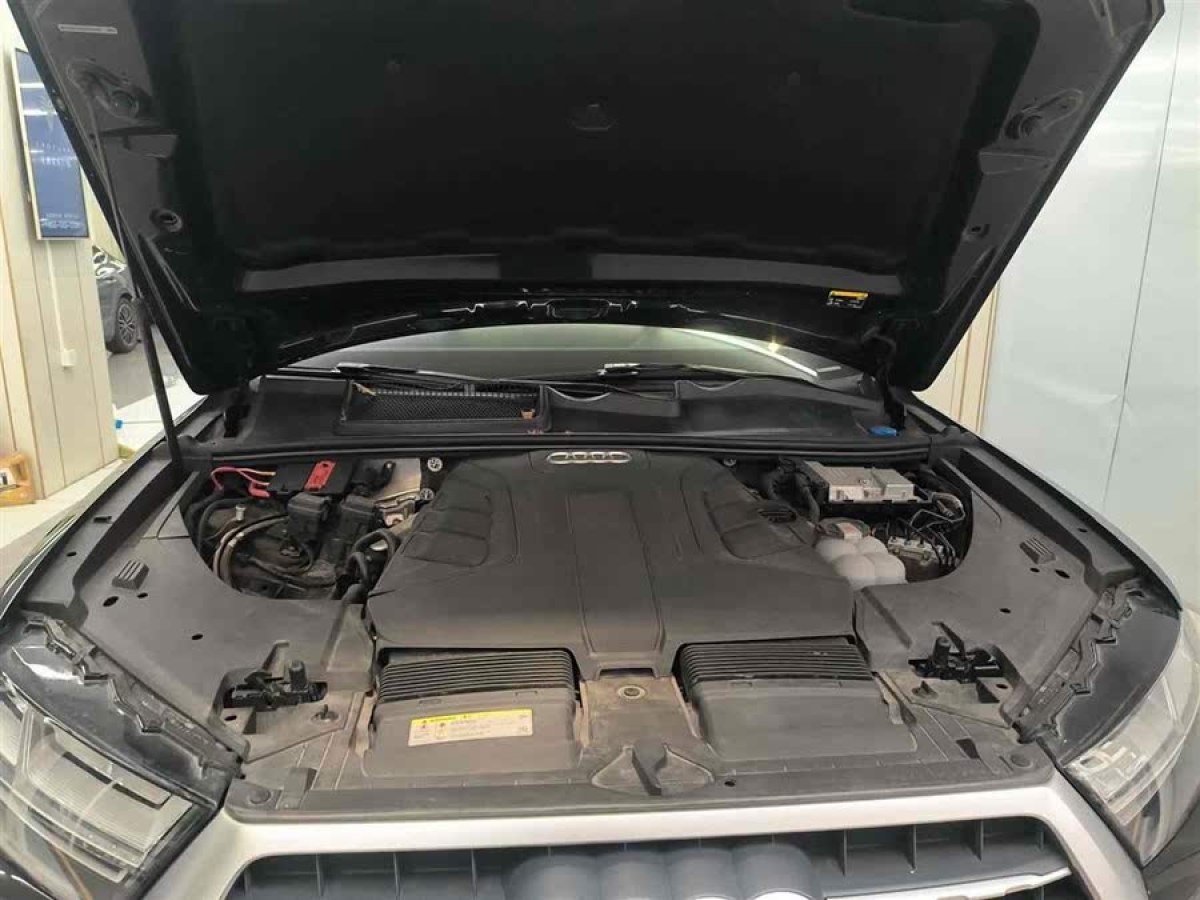 奧迪 奧迪Q7  2019款 55 TFSI 技術(shù)型圖片