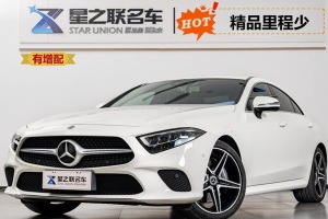奔馳CLS級(jí) 奔馳 CLS 300 動(dòng)感型