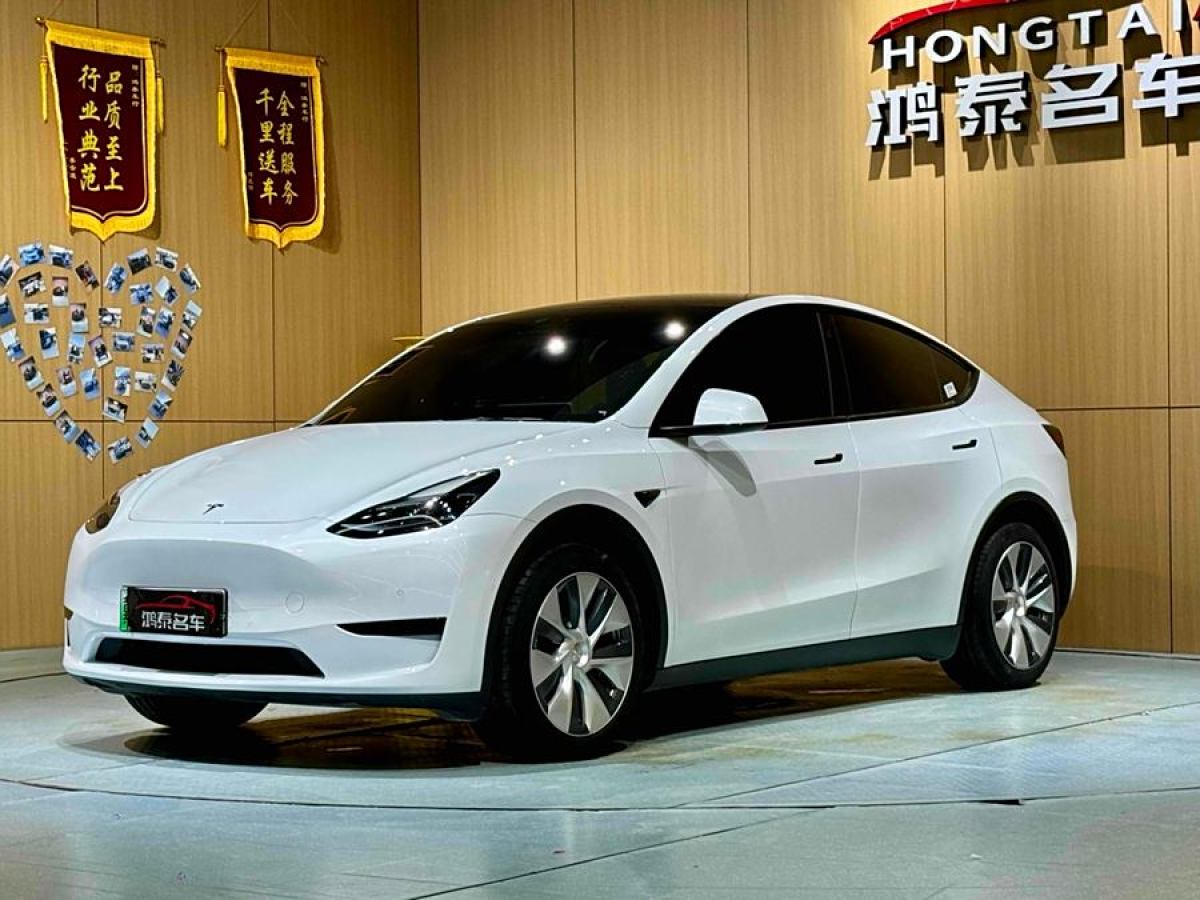 特斯拉 Model Y  2020款 改款 長續(xù)航后輪驅(qū)動版圖片