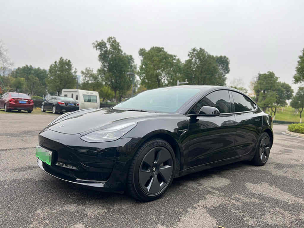 特斯拉 Model 3  2021款 標(biāo)準(zhǔn)續(xù)航后驅(qū)升級版 3D6圖片