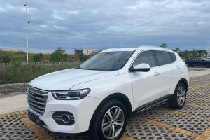 H6 哈弗 換代 紅標 2.0T 自動兩驅智尚型