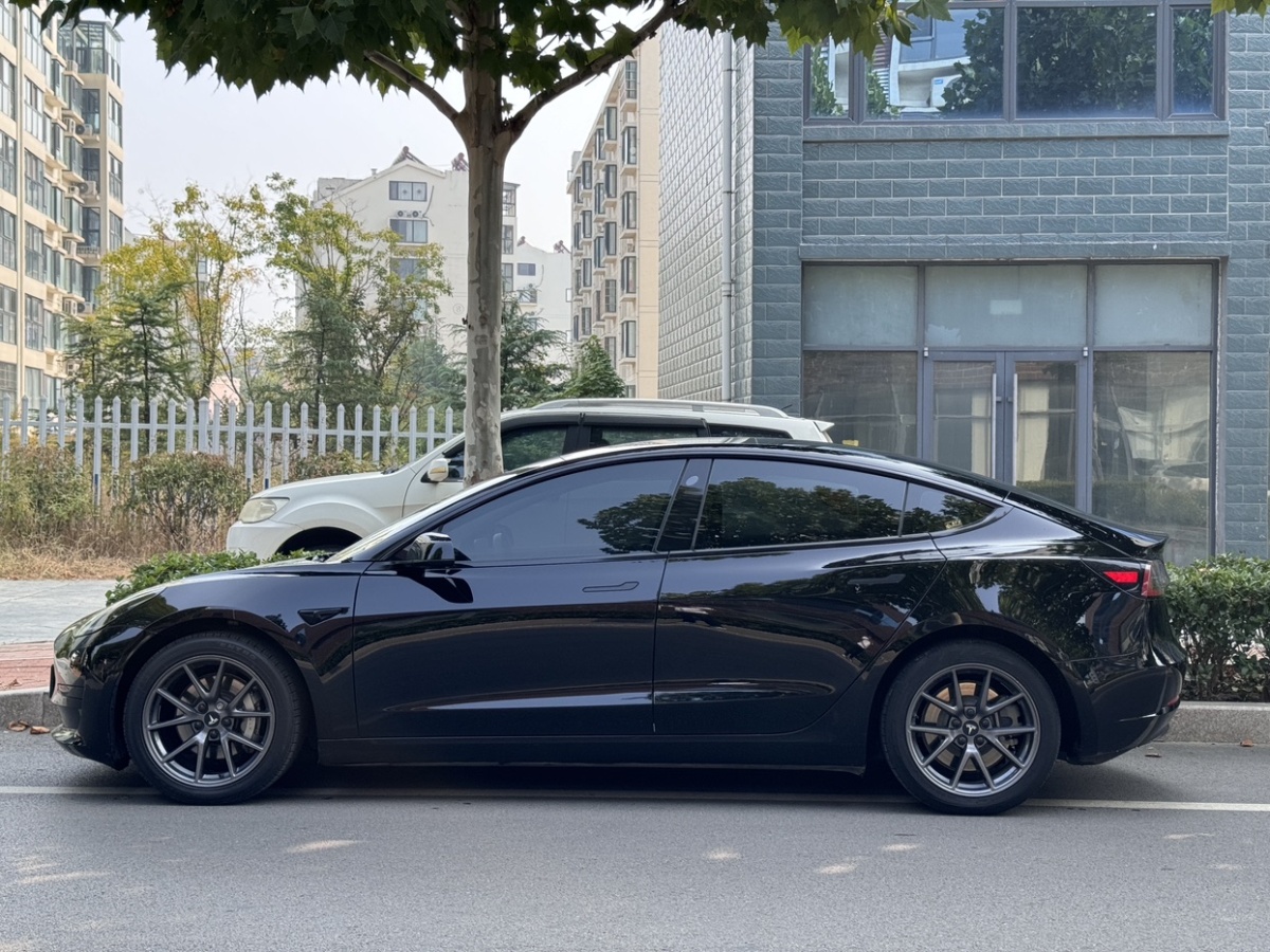 特斯拉 Model Y  2021款 標(biāo)準(zhǔn)續(xù)航后驅(qū)升級(jí)版圖片