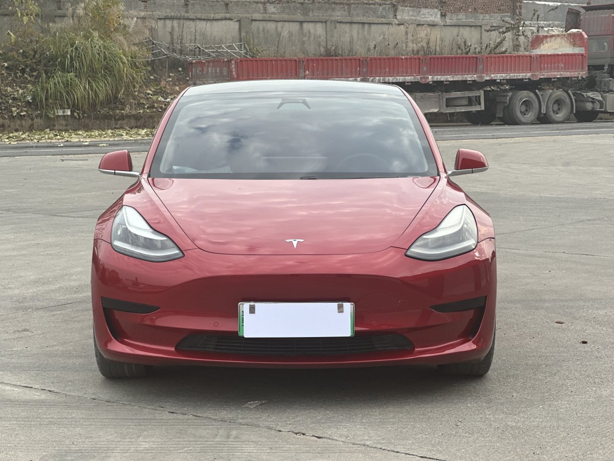 特斯拉 Model 3  2019款 標(biāo)準(zhǔn)續(xù)航后驅(qū)升級版圖片