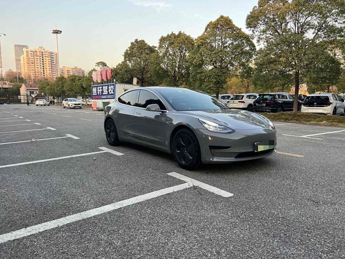 特斯拉 Model 3  2020款 改款 標準續(xù)航后驅(qū)升級版圖片