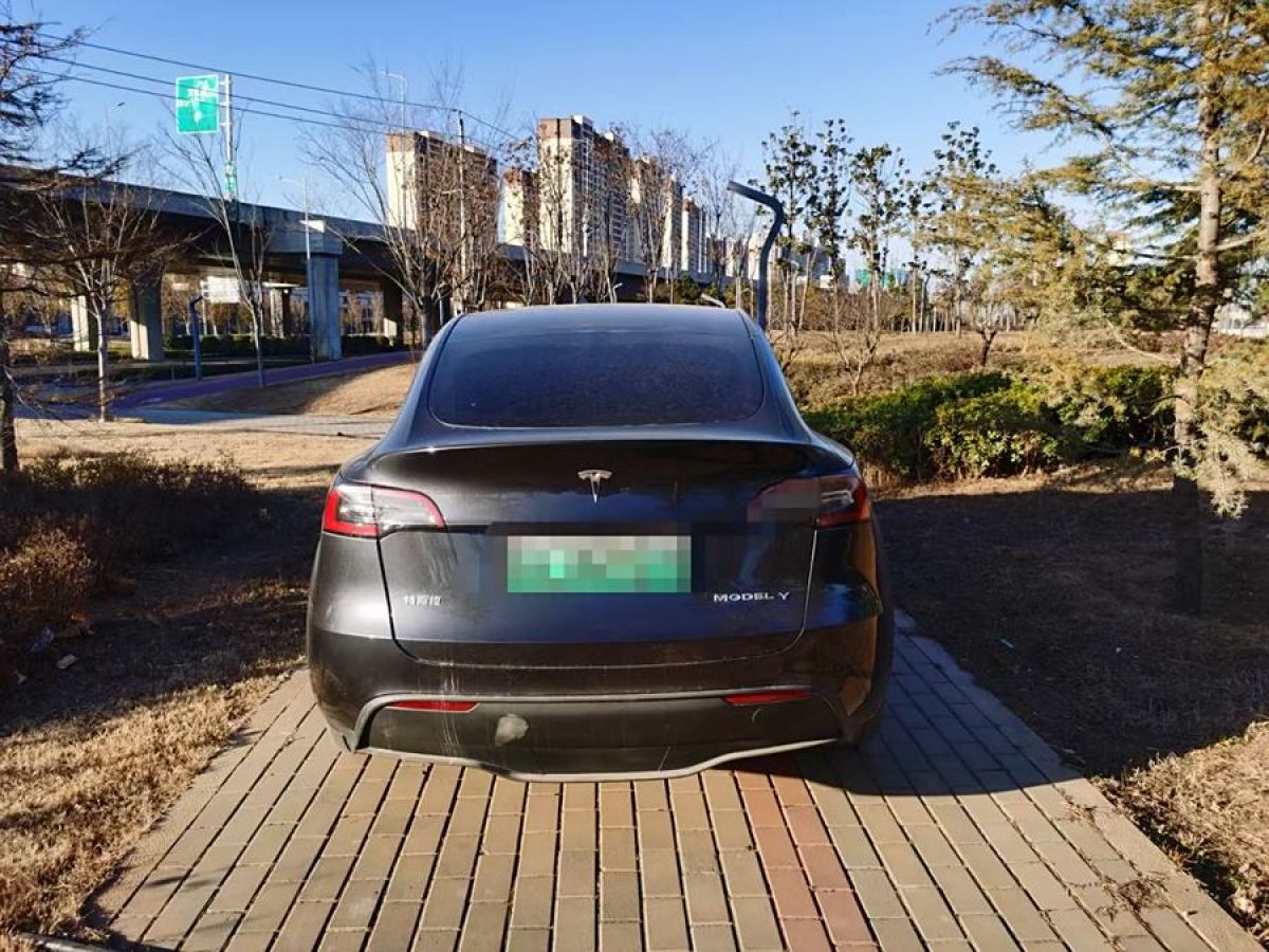 特斯拉 Model 3  2020款 改款 長續(xù)航后輪驅動版圖片