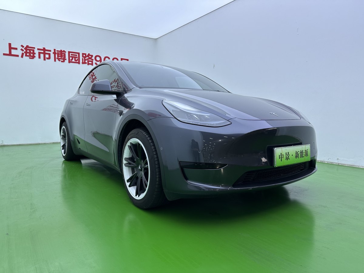 特斯拉 Model Y  2020款 改款 長續(xù)航后輪驅(qū)動版圖片