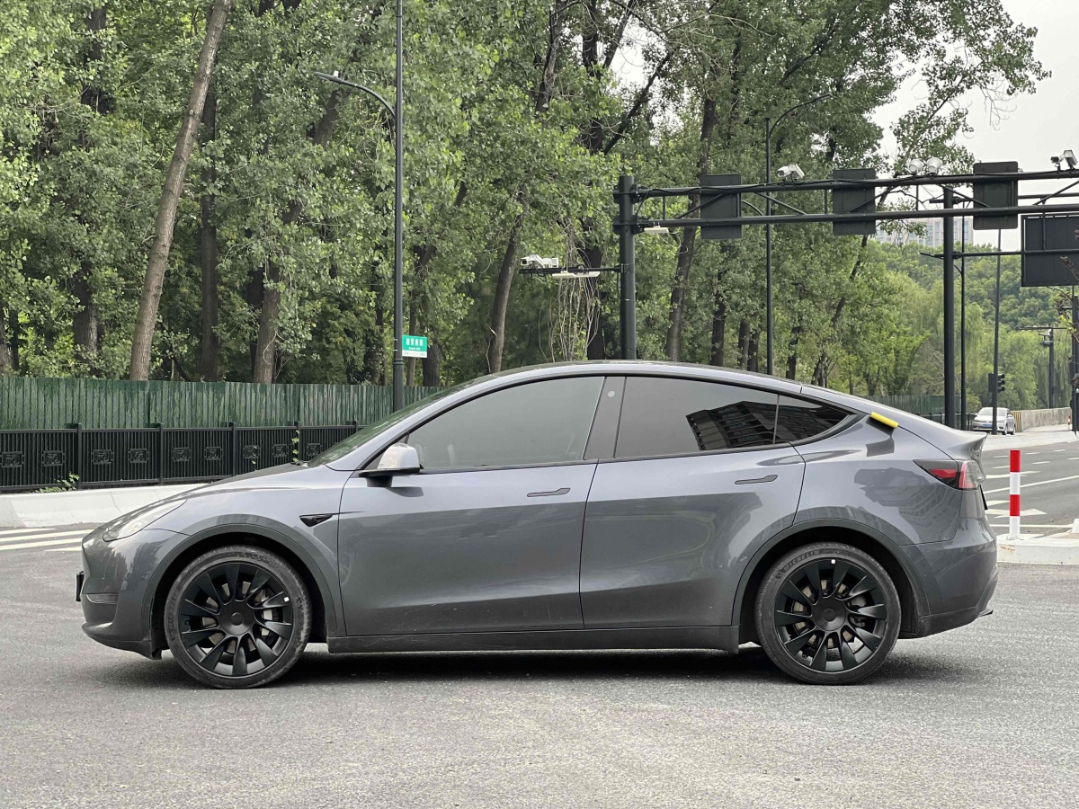特斯拉 Model Y  2021款 改款 長(zhǎng)續(xù)航全輪驅(qū)動(dòng)版圖片