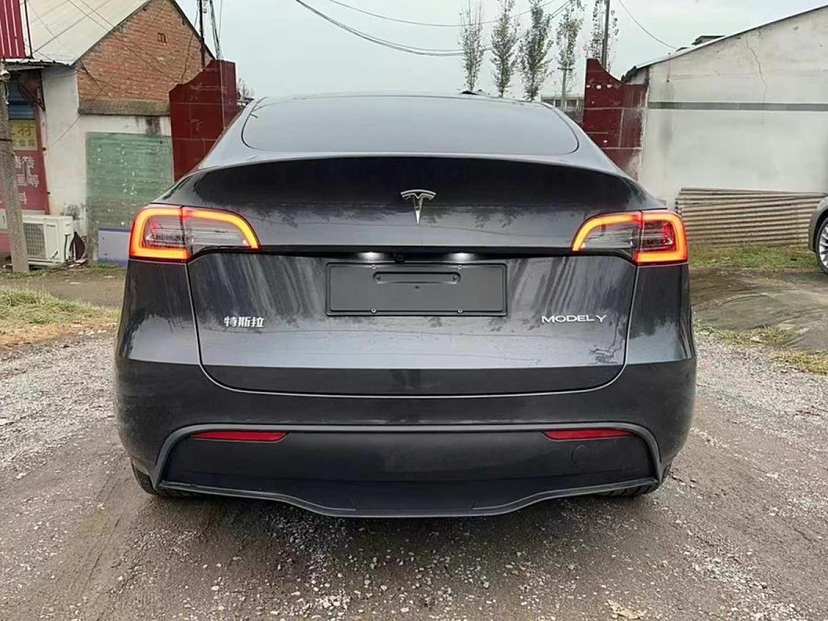 特斯拉 Model 3  2020款 改款 長續(xù)航后輪驅(qū)動版圖片