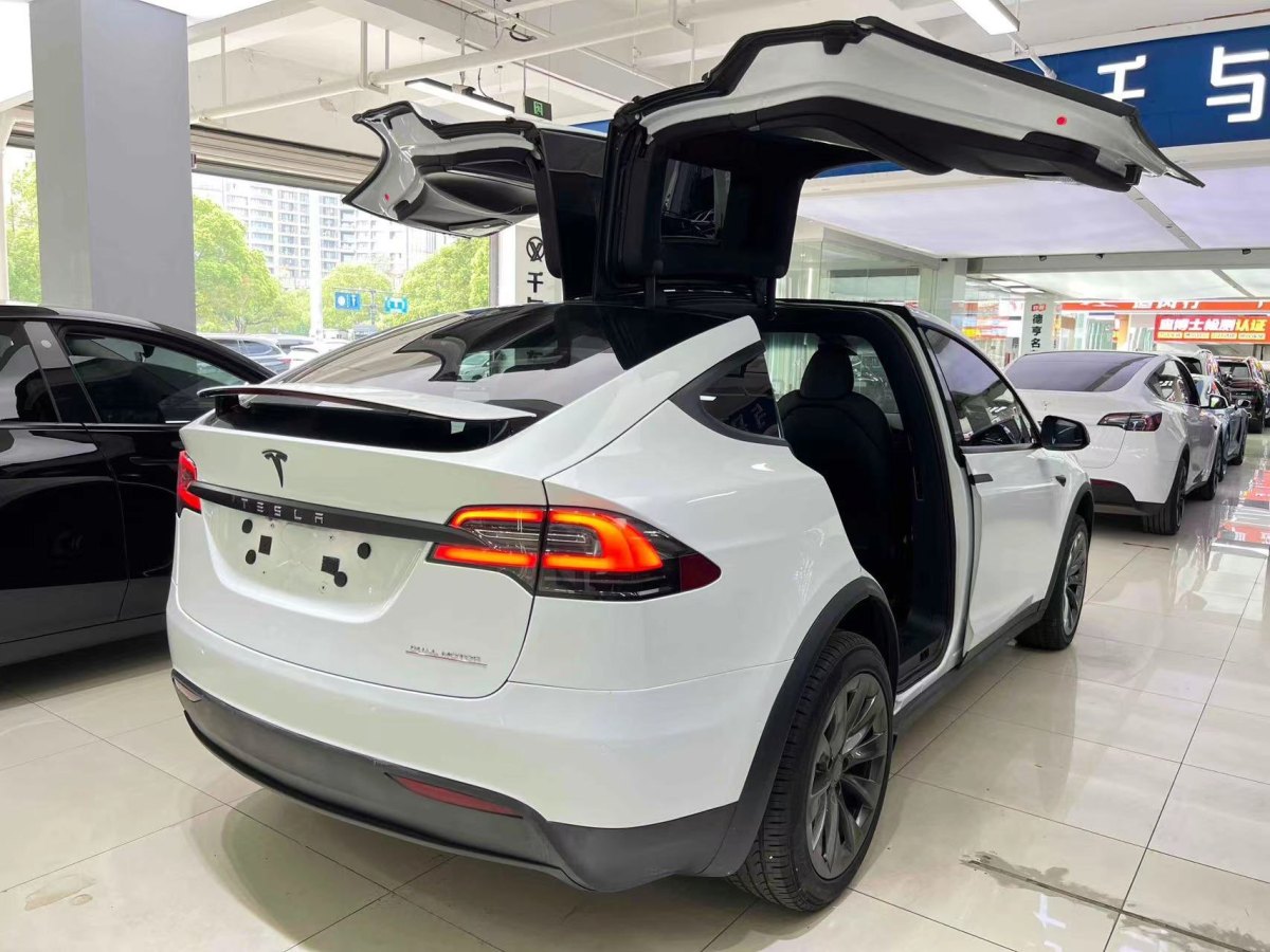 特斯拉 Model X  2019款 長(zhǎng)續(xù)航版圖片