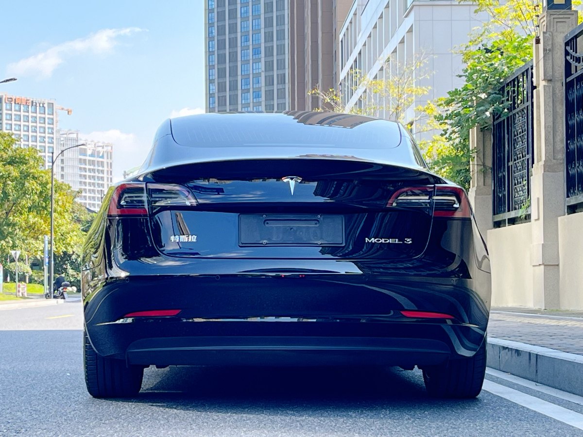 特斯拉 Model 3  2019款 標(biāo)準(zhǔn)續(xù)航后驅(qū)升級版圖片