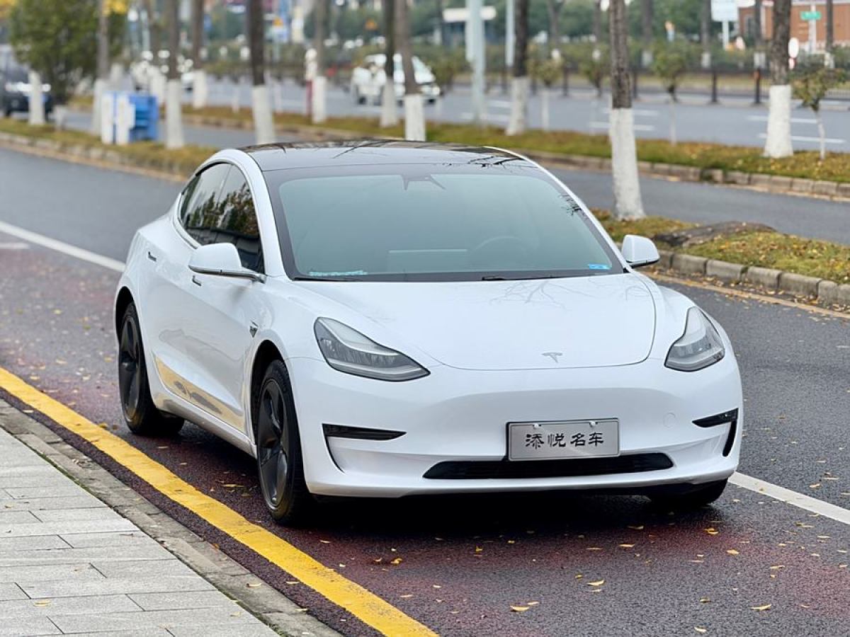 特斯拉 Model 3  2019款 長(zhǎng)續(xù)航后驅(qū)版圖片