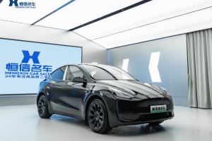 Model Y 特斯拉 改款 长续航后轮驱动版