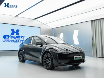 2023年3月 特斯拉 Model Y 改款 長(zhǎng)續(xù)航后輪驅(qū)動(dòng)版圖片