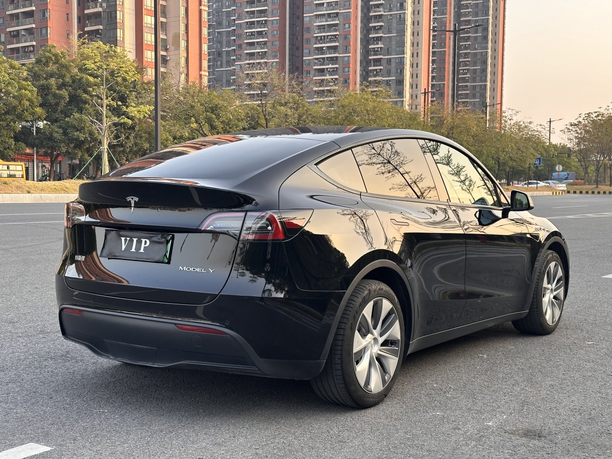 特斯拉 Model 3  2020款 改款 長(zhǎng)續(xù)航后輪驅(qū)動(dòng)版圖片