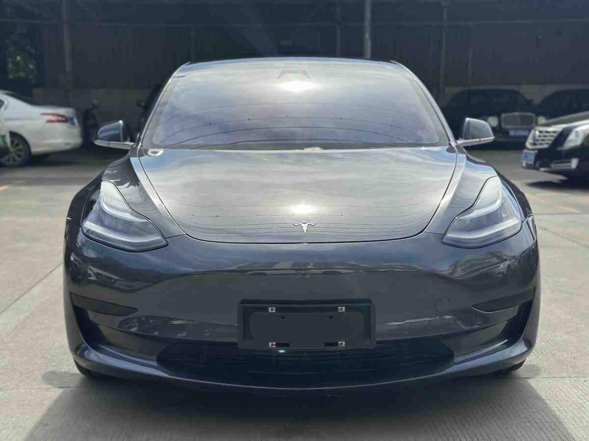 特斯拉 Model 3  2019款 標(biāo)準(zhǔn)續(xù)航后驅(qū)升級(jí)版圖片